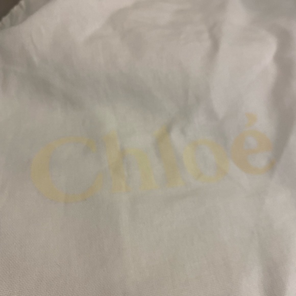 Chloe charlotte python bag - Picture 9 of 9